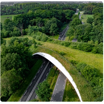 Ripristino di corridoi ecologici